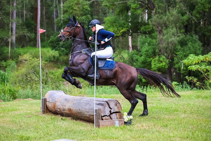 TEG March ODE 2026 60 XC-5547.jpg