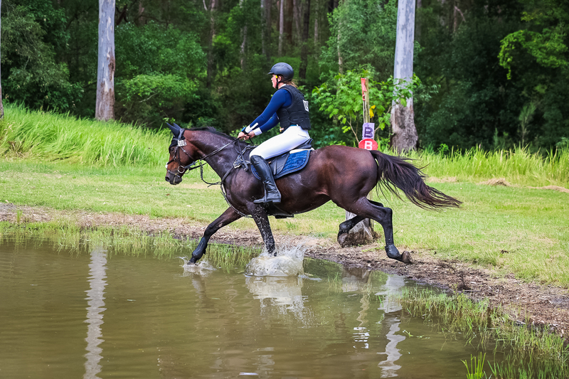 TEG March ODE 2026 60 XC-5550.jpg