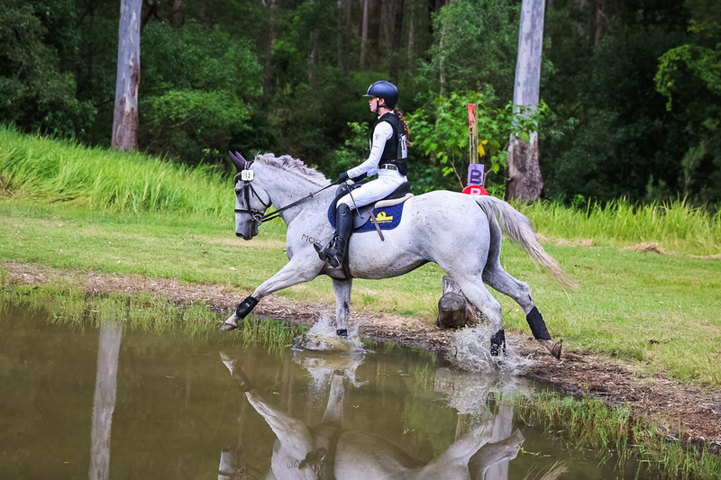 TEG March ODE 2026 60 XC-5564.jpg