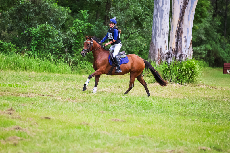 TEG March ODE 2026 60 XC-5566.jpg