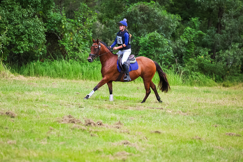 TEG March ODE 2026 60 XC-5568.jpg