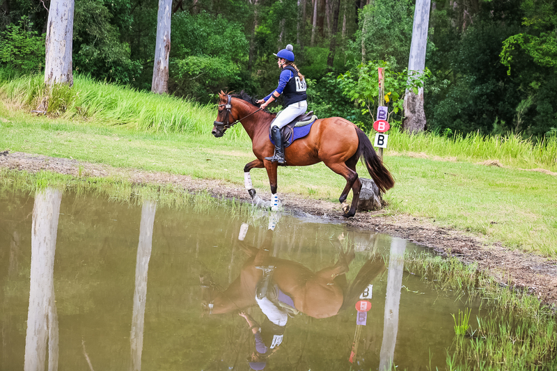 TEG March ODE 2026 60 XC-5573.jpg