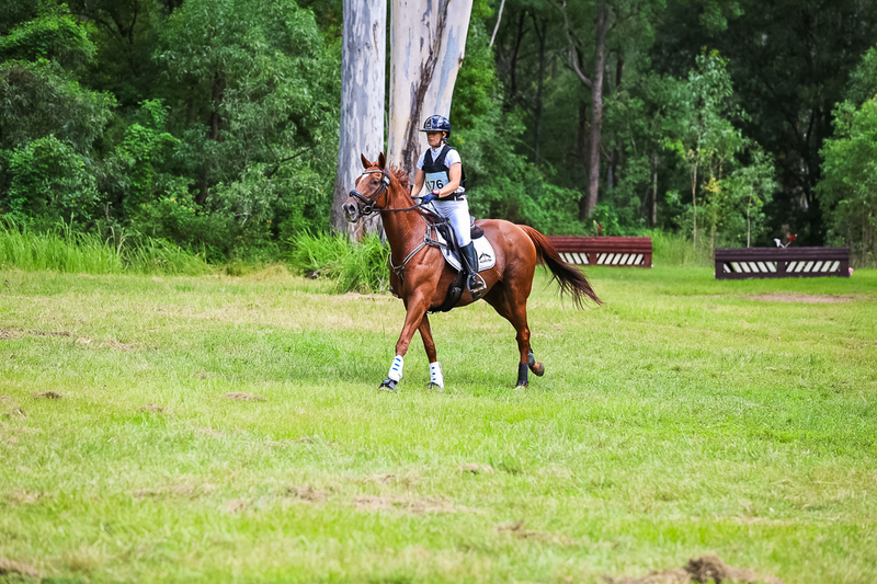 TEG March ODE 2026 60 XC-5582.jpg