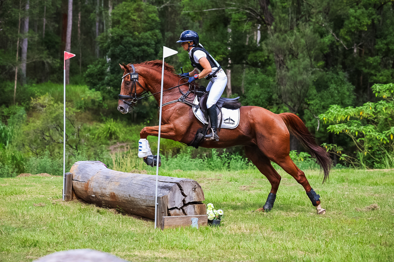 TEG March ODE 2026 60 XC-5585.jpg