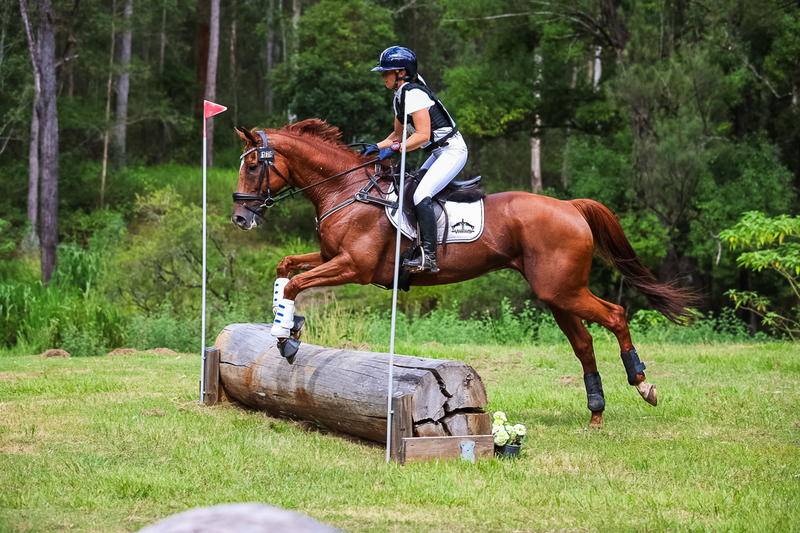 TEG March ODE 2026 60 XC-5586.jpg