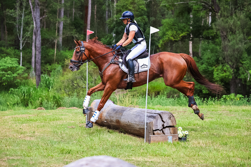 TEG March ODE 2026 60 XC-5587.jpg