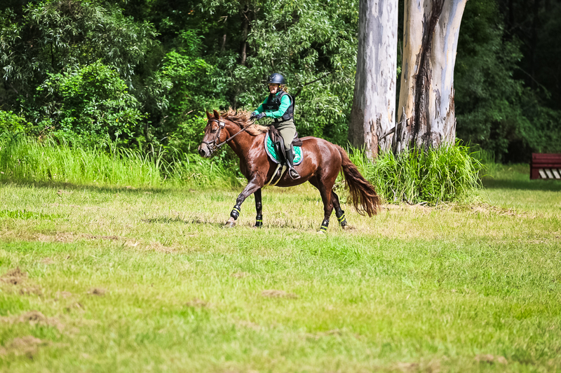 TEG March ODE 2026 60 XC-5589.jpg