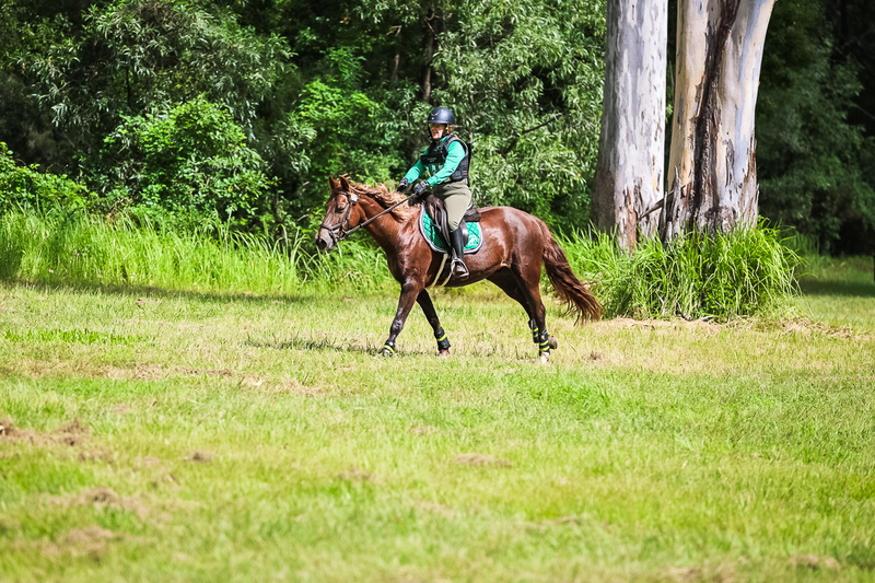 TEG March ODE 2026 60 XC-5590.jpg