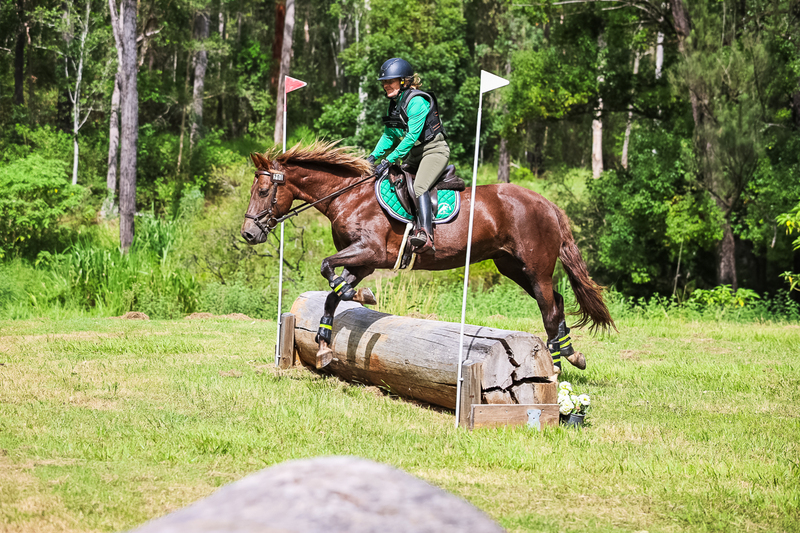 TEG March ODE 2026 60 XC-5592.jpg