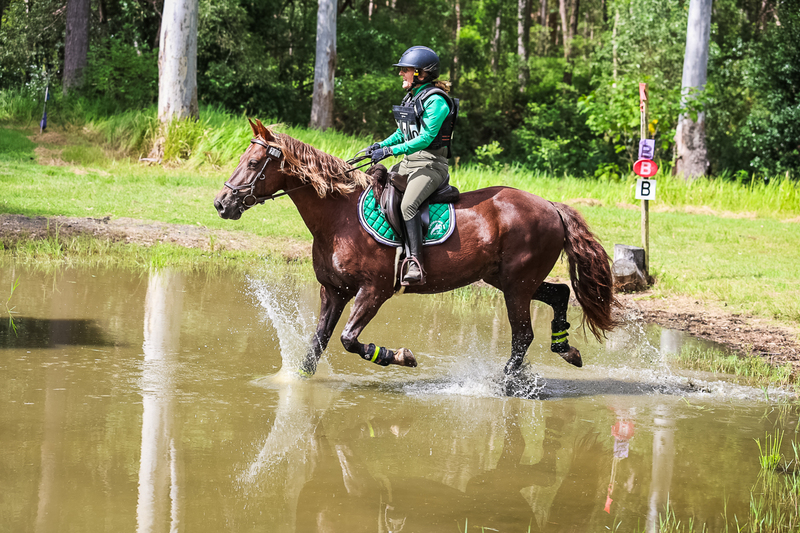 TEG March ODE 2026 60 XC-5596.jpg