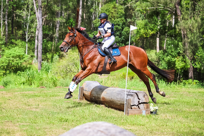 TEG March ODE 2026 60 XC-5602.jpg