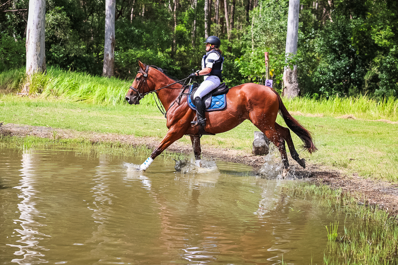 TEG March ODE 2026 60 XC-5603.jpg