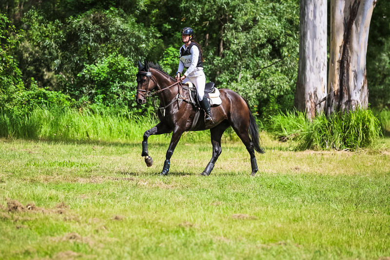 TEG March ODE 2026 60 XC-5607.jpg