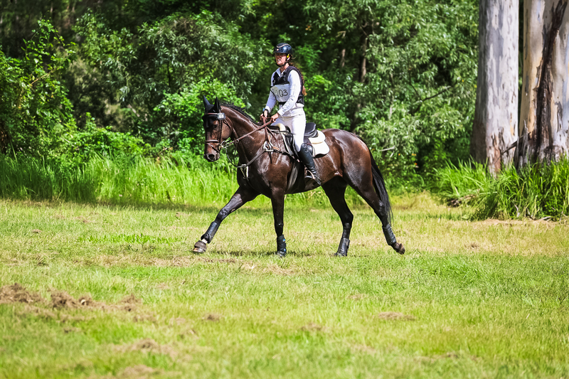 TEG March ODE 2026 60 XC-5608.jpg