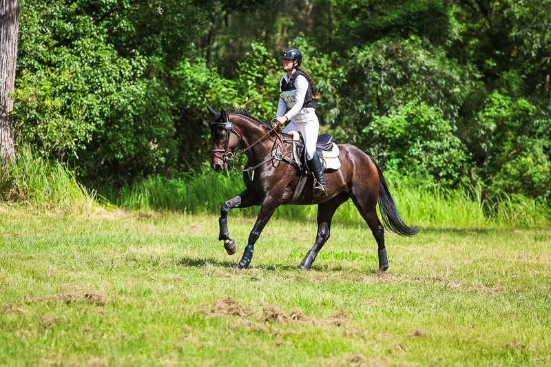 TEG March ODE 2026 60 XC-5609.jpg