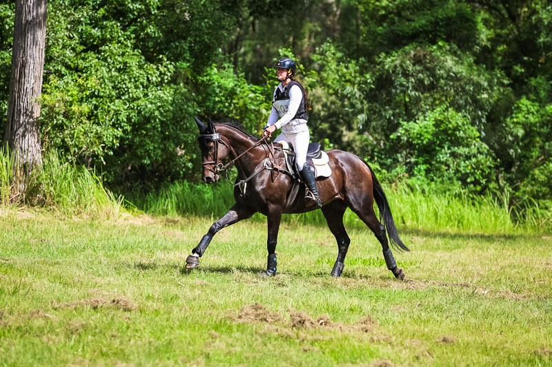 TEG March ODE 2026 60 XC-5610.jpg