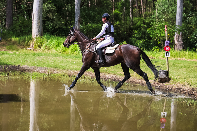 TEG March ODE 2026 60 XC-5615.jpg