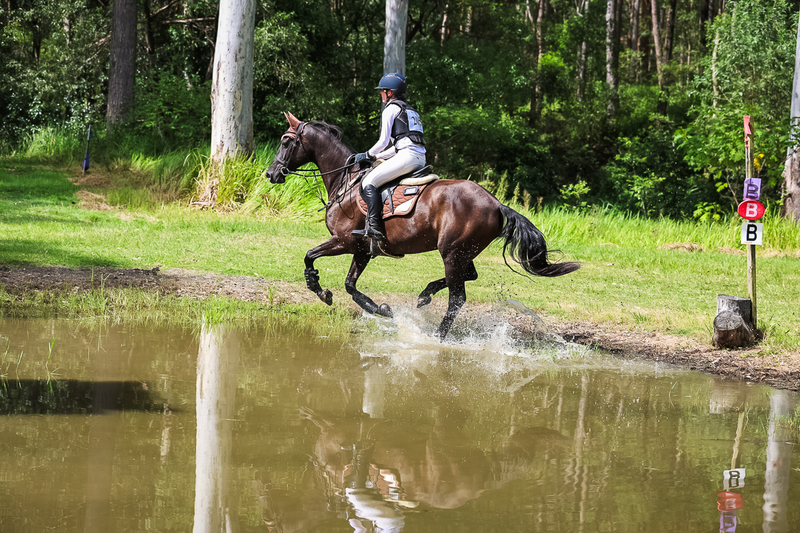 TEG March ODE 2026 60 XC-5626.jpg