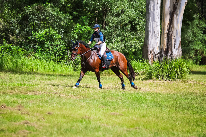 TEG March ODE 2026 60 XC-5628.jpg