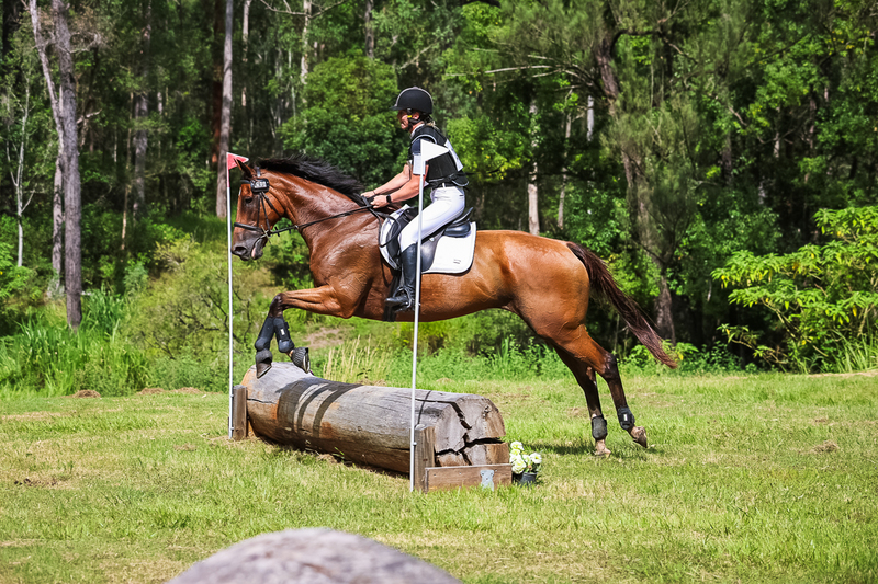 TEG March ODE 2026 60 XC-5641.jpg