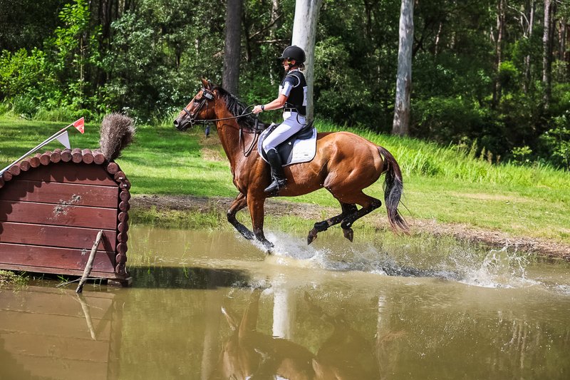 TEG March ODE 2026 60 XC-5646.jpg