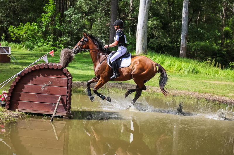 TEG March ODE 2026 60 XC-5647.jpg