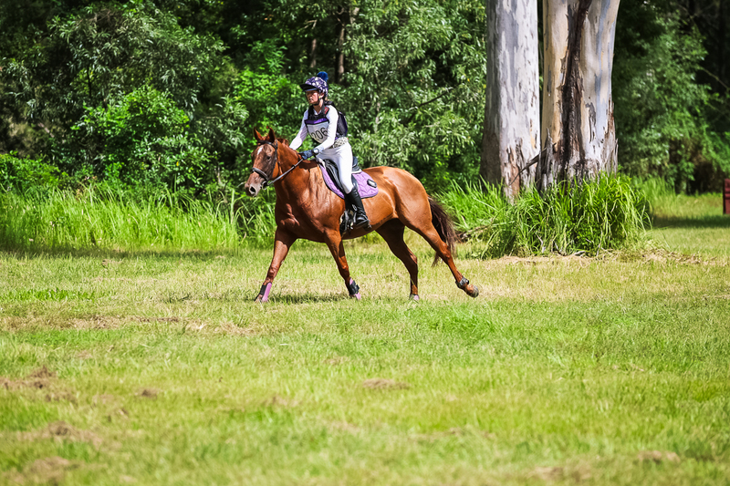 TEG March ODE 2026 60 XC-5649.jpg