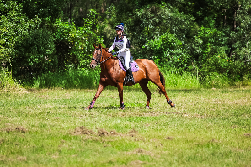 TEG March ODE 2026 60 XC-5651.jpg