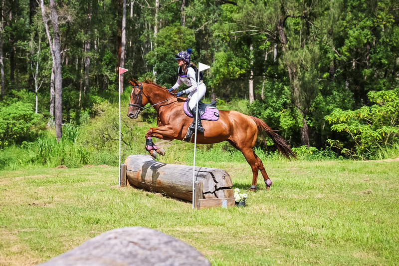 TEG March ODE 2026 60 XC-5653.jpg