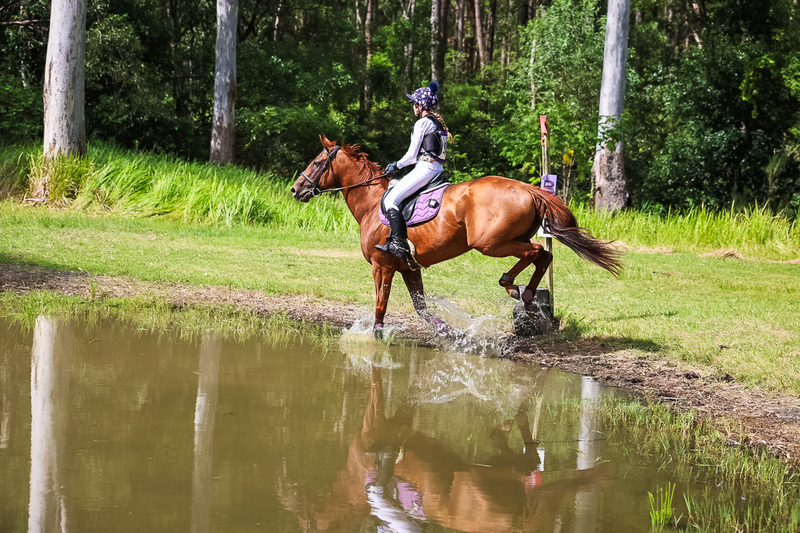 TEG March ODE 2026 60 XC-5656.jpg