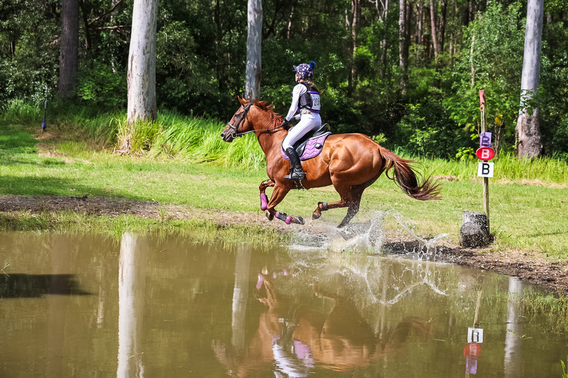 TEG March ODE 2026 60 XC-5658.jpg