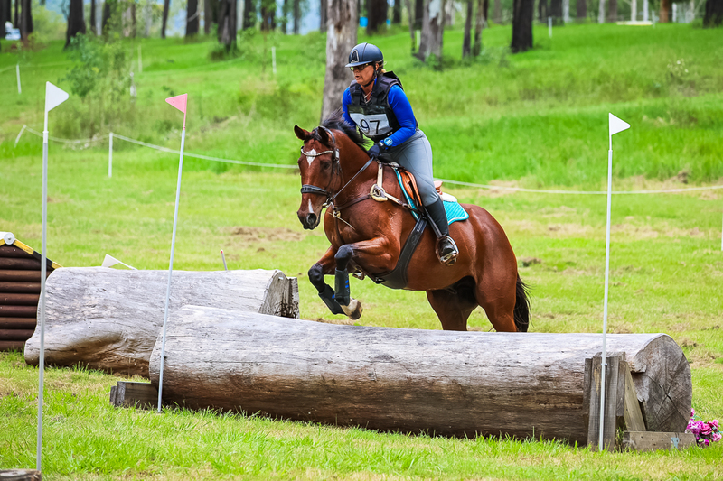 TEG March ODE 2026 80 XC-4800.jpg