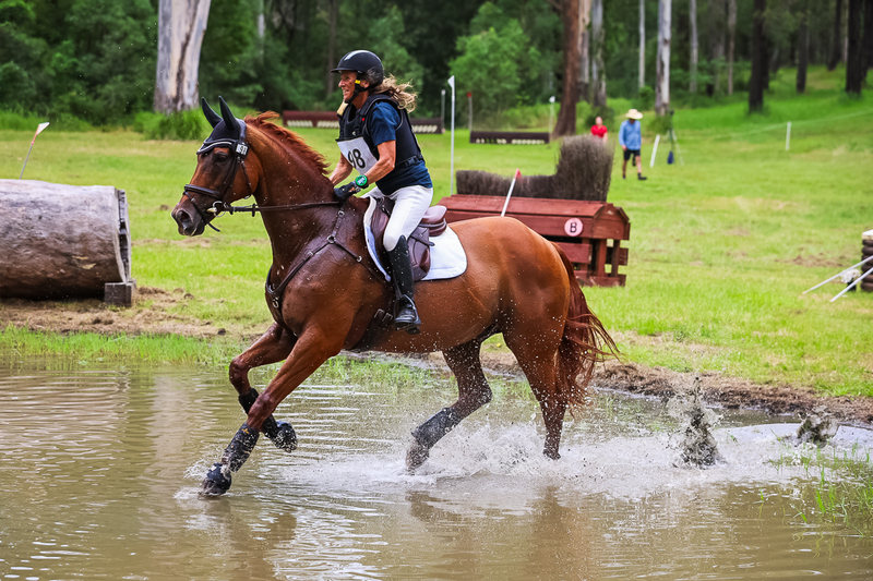 TEG March ODE 2026 80 XC-4811.jpg