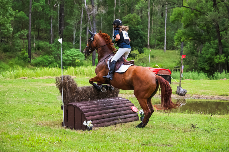 TEG March ODE 2026 80 XC-4814.jpg