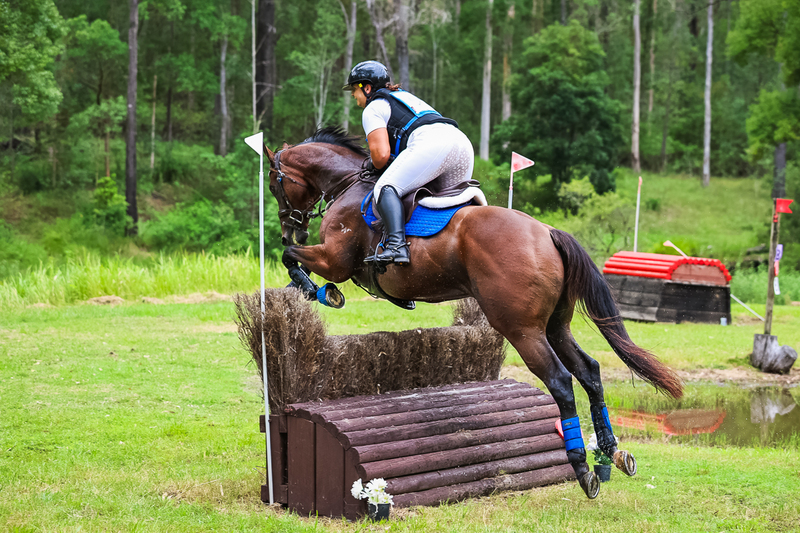 TEG March ODE 2026 80 XC-4824.jpg