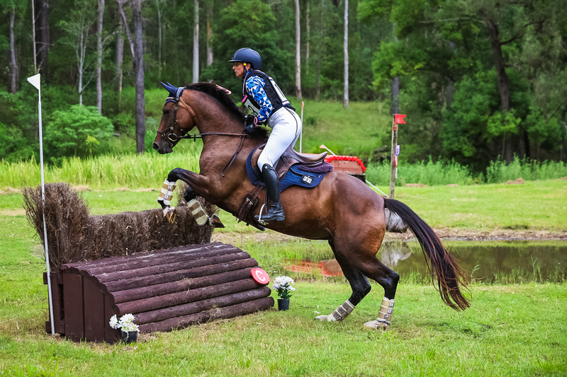 TEG March ODE 2026 80 XC-4859.jpg