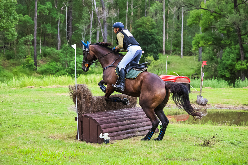 TEG March ODE 2026 80 XC-4868.jpg