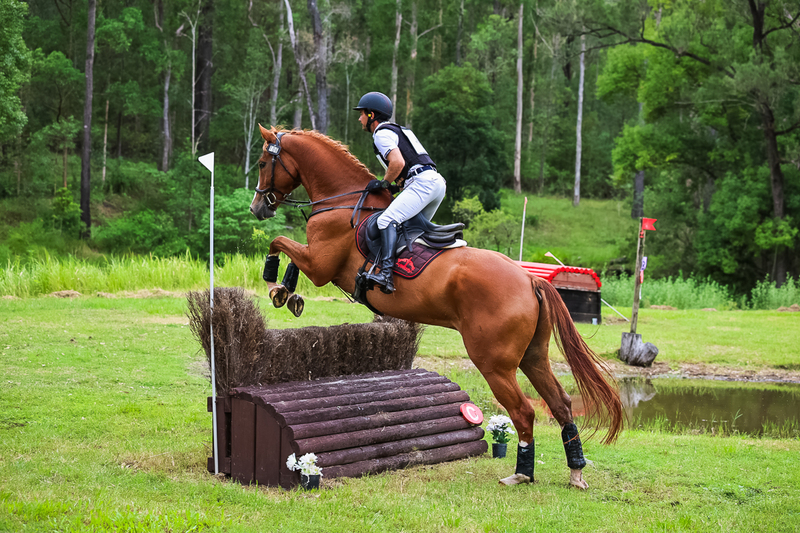 TEG March ODE 2026 80 XC-4878.jpg