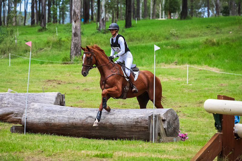 TEG March ODE 2026 80 XC-4900.jpg