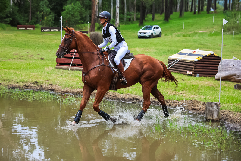 TEG March ODE 2026 80 XC-4903.jpg