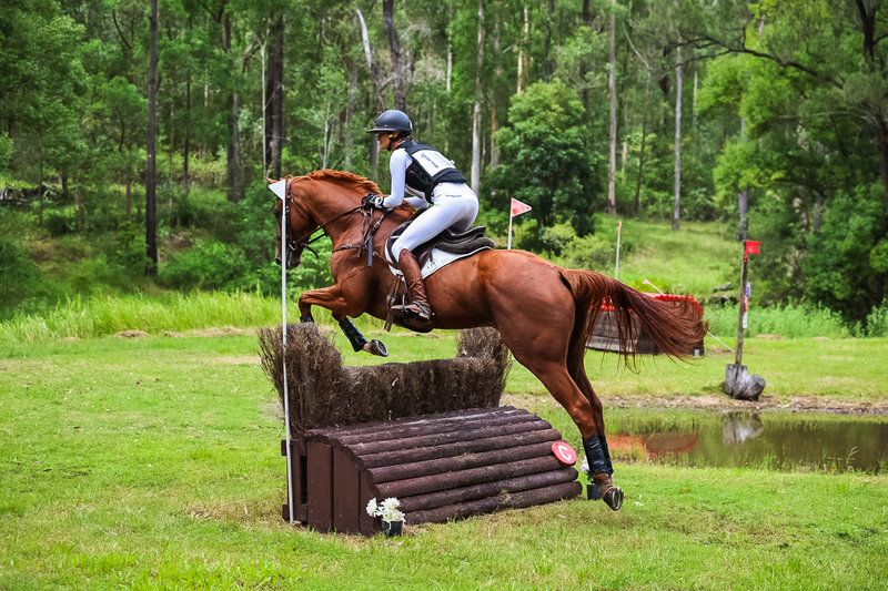 TEG March ODE 2026 80 XC-4909.jpg