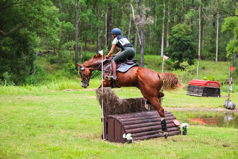 TEG March ODE 2026 80 XC-4937.jpg