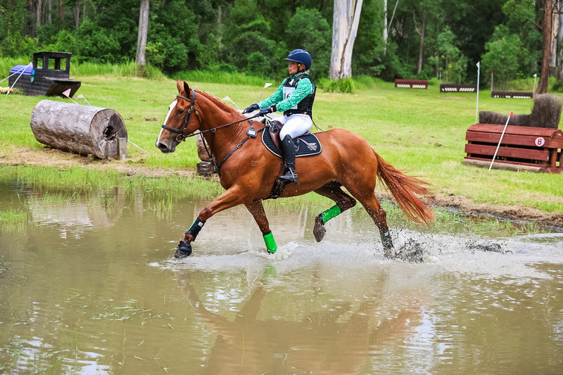 TEG March ODE 2026 80 XC-4953.jpg