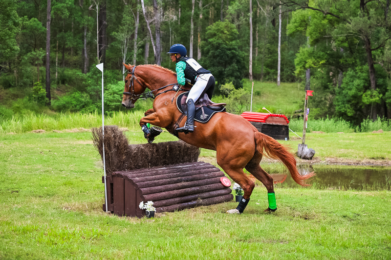 TEG March ODE 2026 80 XC-4955.jpg