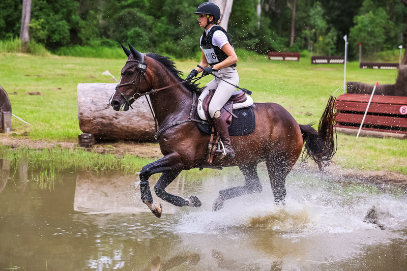 TEG March ODE 2026 80 XC-4965.jpg