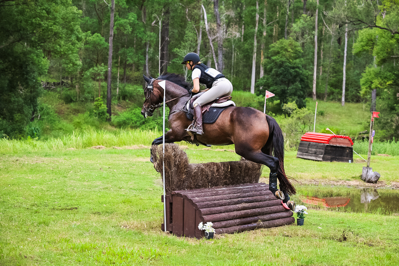 TEG March ODE 2026 80 XC-4968.jpg