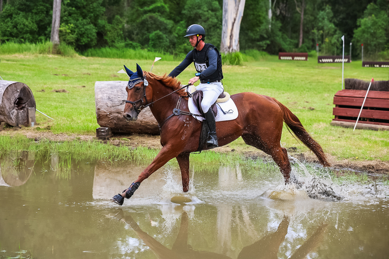 TEG March ODE 2026 80 XC-4981.jpg