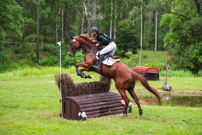 TEG March ODE 2026 80 XC-4984.jpg