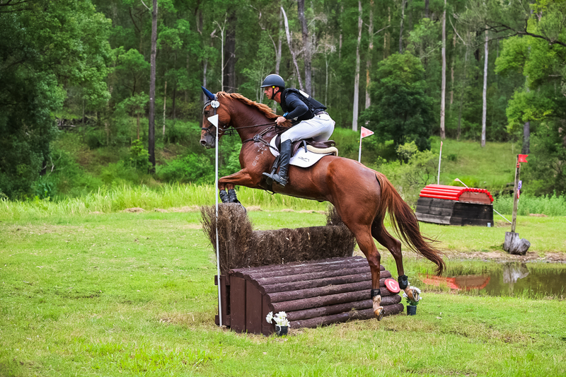 TEG March ODE 2026 80 XC-4985.jpg