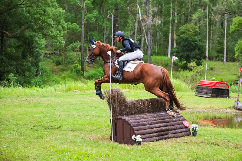 TEG March ODE 2026 80 XC-4986.jpg